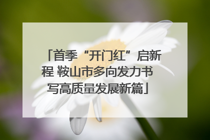 首季“开门红”启新程 鞍山市多向发力书写高质量发展新篇