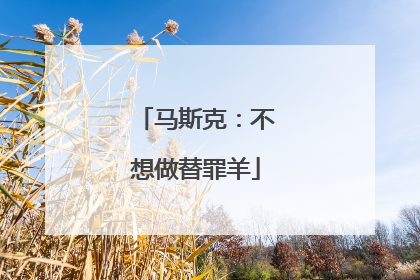 马斯克：不想做替罪羊