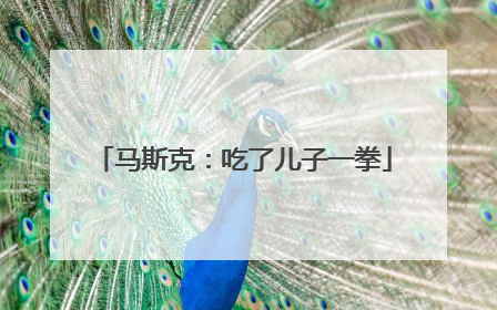 马斯克：吃了儿子一拳