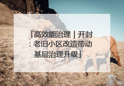高效能治理｜开封：老旧小区改造带动基层治理升级