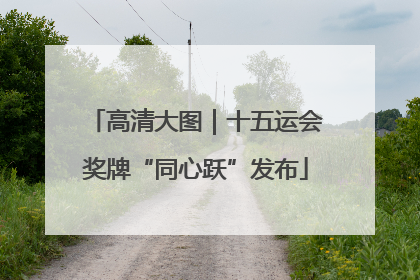 高清大图｜十五运会奖牌“同心跃”发布