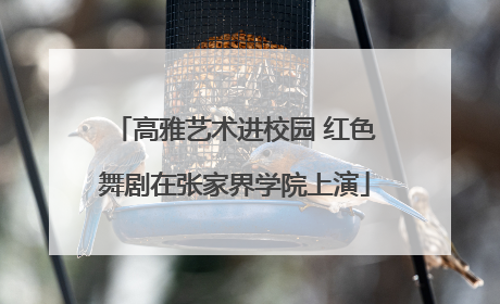 高雅艺术进校园 红色舞剧在张家界学院上演