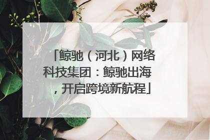鲸驰（河北）网络科技集团：鲸驰出海，开启跨境新航程