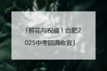 鲜花与祝福！合肥2025中考圆满收官
