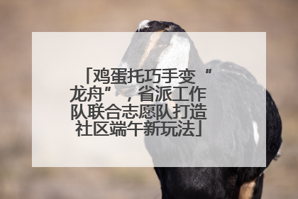 鸡蛋托巧手变“龙舟”，省派工作队联合志愿队打造社区端午新玩法