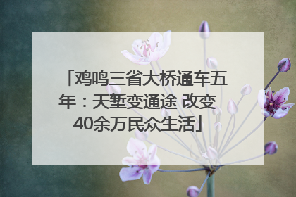鸡鸣三省大桥通车五年：天堑变通途 改变40余万民众生活