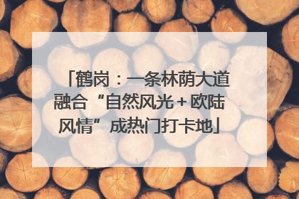 鹤岗：一条林荫大道融合“自然风光＋欧陆风情”成热门打卡地