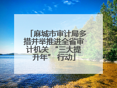 麻城市审计局多措并举推进全省审计机关 “三大提升年” 行动