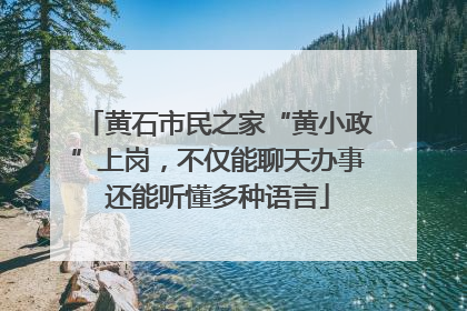 黄石市民之家“黄小政”上岗，不仅能聊天办事还能听懂多种语言