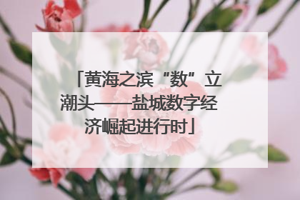 黄海之滨“数”立潮头——盐城数字经济崛起进行时