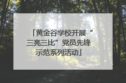 黄金谷学校开展“三亮三比”党员先锋示范系列活动
