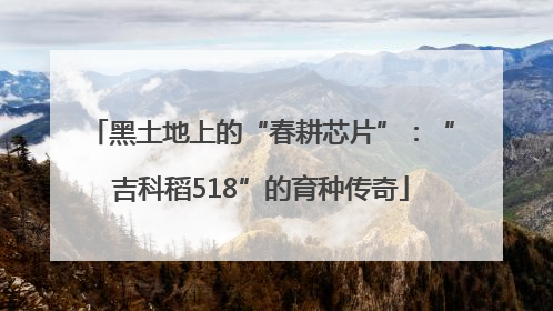 黑土地上的“春耕芯片”：“吉科稻518”的育种传奇