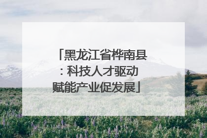 黑龙江省桦南县：科技人才驱动 赋能产业促发展