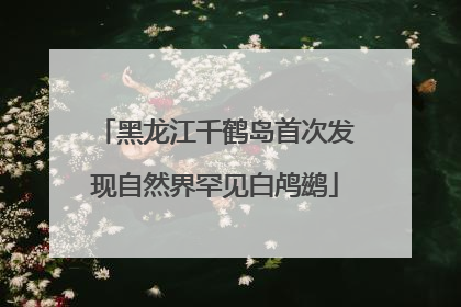 黑龙江千鹤岛首次发现自然界罕见白鸬鹚
