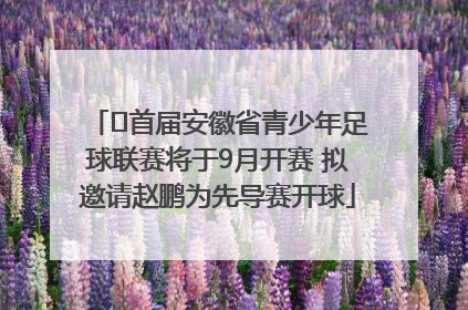 ﻿首届安徽省青少年足球联赛将于9月开赛 拟邀请赵鹏为先导赛开球