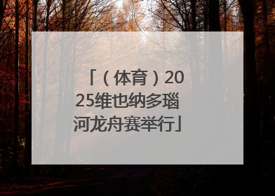 （体育）2025维也纳多瑙河龙舟赛举行