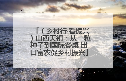 （乡村行·看振兴）山西天镇：从一粒种子到国际餐桌 出口富农促乡村振兴