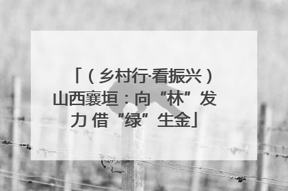 （乡村行·看振兴）山西襄垣：向“林”发力 借“绿”生金