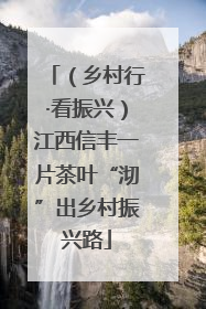 （乡村行·看振兴）江西信丰一片茶叶“沏”出乡村振兴路