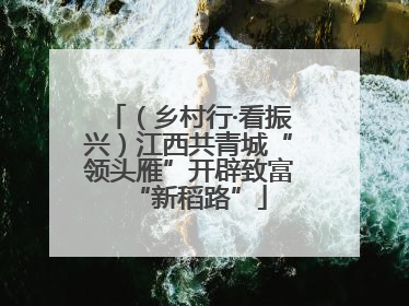 （乡村行·看振兴）江西共青城“领头雁”开辟致富“新稻路”