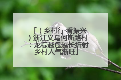 （乡村行·看振兴）浙江义乌何斯路村：龙粽越包越长折射乡村人气渐旺
