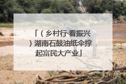 （乡村行·看振兴）湖南石鼓油纸伞撑起富民大产业