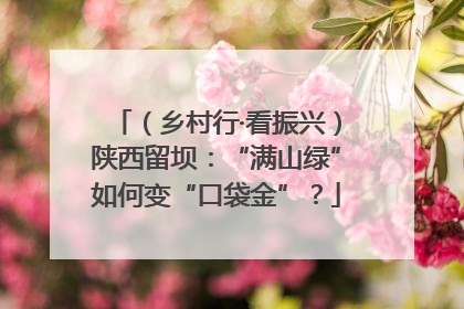 （乡村行·看振兴）陕西留坝：“满山绿”如何变“口袋金”？