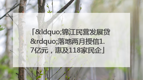 “锦江民营发展贷”落地两月授信1.7亿元，惠及118家民企