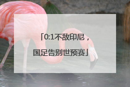 0:1不敌印尼，国足告别世预赛