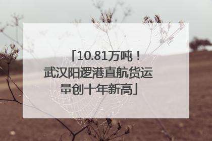 10.81万吨！武汉阳逻港直航货运量创十年新高