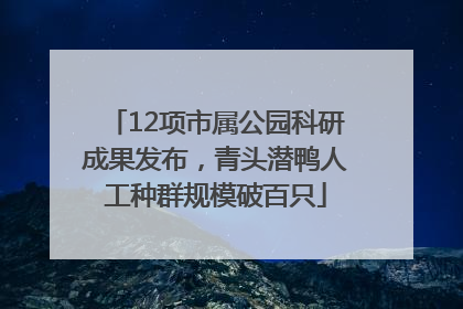 12项市属公园科研成果发布，青头潜鸭人工种群规模破百只