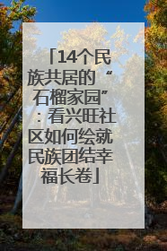 14个民族共居的“石榴家园”：看兴旺社区如何绘就民族团结幸福长卷