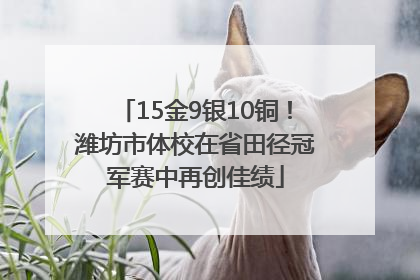 15金9银10铜！潍坊市体校在省田径冠军赛中再创佳绩