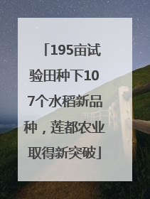 195亩试验田种下107个水稻新品种，莲都农业取得新突破