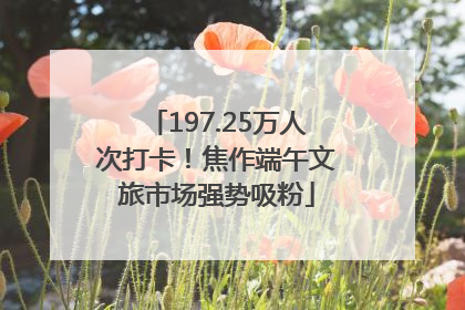 197.25万人次打卡！焦作端午文旅市场强势吸粉