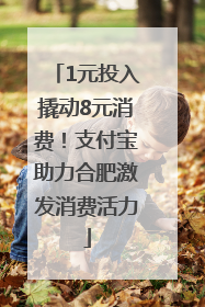 1元投入撬动8元消费！支付宝助力合肥激发消费活力