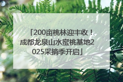 200亩桃林迎丰收！成都龙泉山水蜜桃基地2025采摘季开启