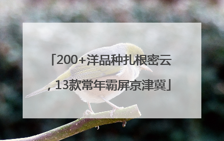 200+洋品种扎根密云，13款常年霸屏京津冀