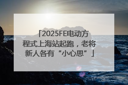 2025FE电动方程式上海站起跑，老将新人各有“小心思”