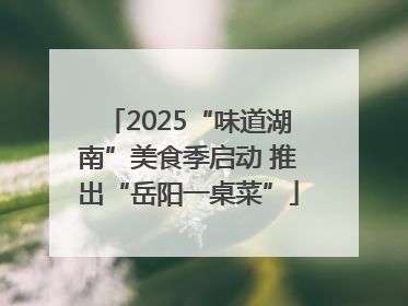2025“味道湖南”美食季启动 推出“岳阳一桌菜”
