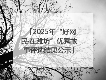 2025年“好网民·在潍坊”优秀故事评选结果公示