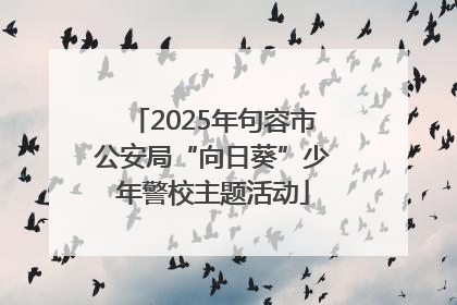 2025年句容市公安局“向日葵”少年警校主题活动