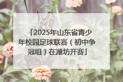 2025年山东省青少年校园足球联赛（初中争冠组）在潍坊开赛