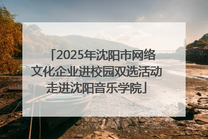 2025年沈阳市网络文化企业进校园双选活动走进沈阳音乐学院