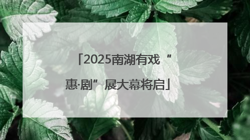 2025南湖有戏“惠·剧”展大幕将启