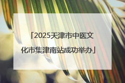 2025天津市中医文化市集津南站成功举办