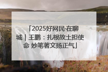 2025好网民·在聊城｜王鹏：扎根故土担使命 妙笔著文扬正气