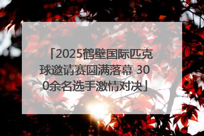 2025鹤壁国际匹克球邀请赛圆满落幕 300余名选手激情对决