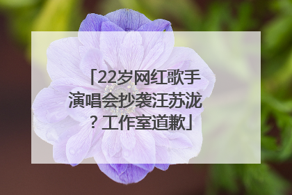 22岁网红歌手演唱会抄袭汪苏泷？工作室道歉