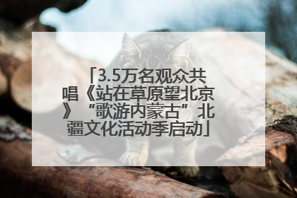 3.5万名观众共唱《站在草原望北京》“歌游内蒙古”北疆文化活动季启动